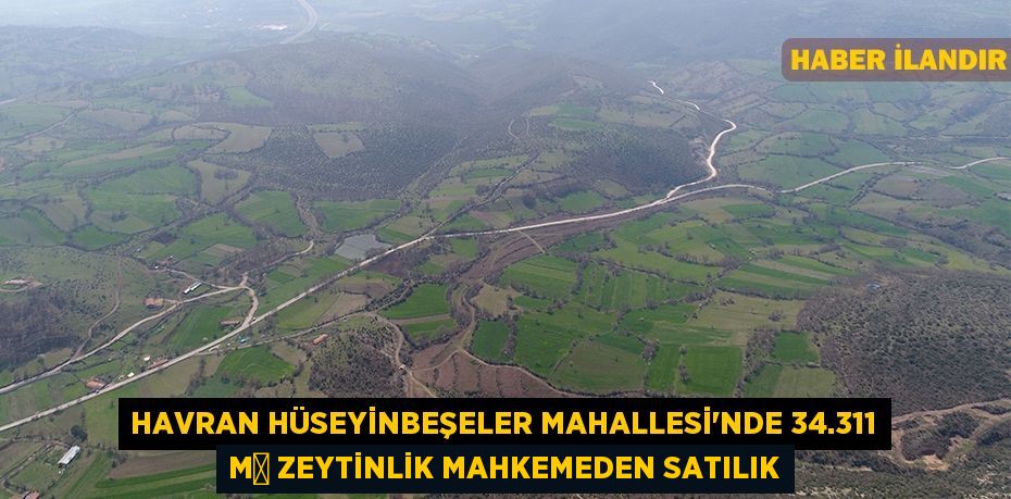 Havran Hüseyinbeşeler Mahallesi'nde 34.311 m² zeytinlik mahkemeden satılık