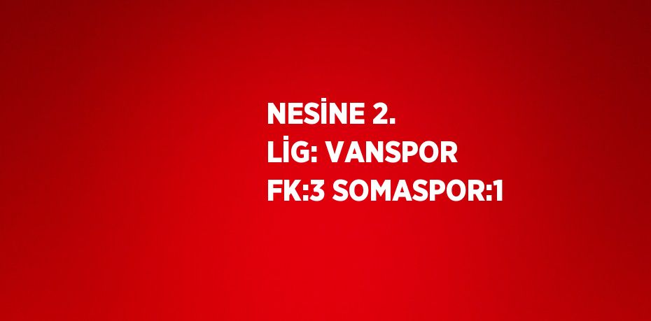 NESİNE 2. LİG: VANSPOR FK:3 SOMASPOR:1