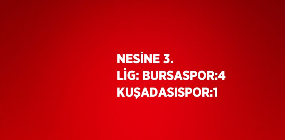 NESİNE 3. LİG: BURSASPOR:4 KUŞADASISPOR:1