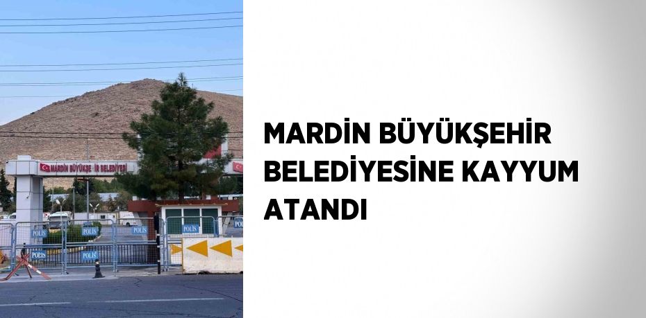 MARDİN BÜYÜKŞEHİR BELEDİYESİNE KAYYUM ATANDI