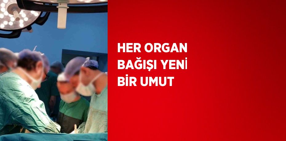 HER ORGAN BAĞIŞI YENİ BİR UMUT