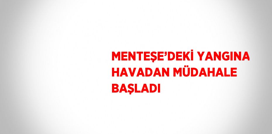 MENTEŞE’DEKİ YANGINA HAVADAN MÜDAHALE BAŞLADI