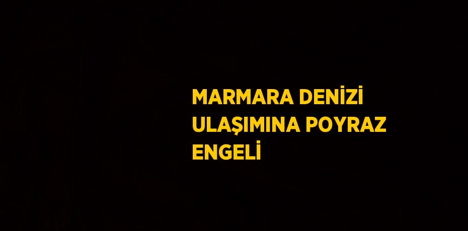 MARMARA DENİZİ ULAŞIMINA POYRAZ ENGELİ