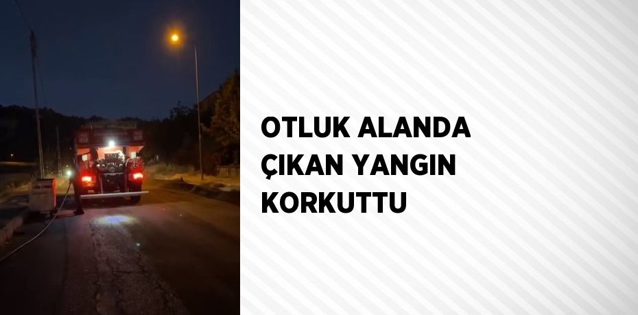 OTLUK ALANDA ÇIKAN YANGIN KORKUTTU