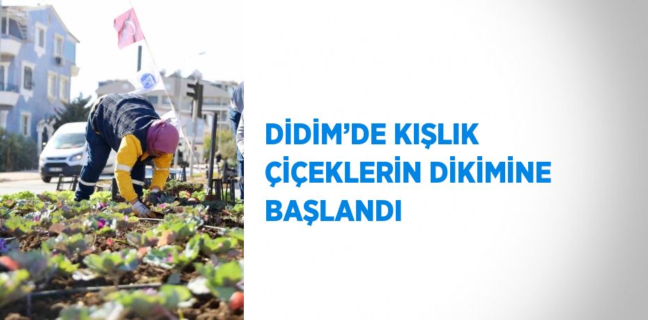 DİDİM’DE KIŞLIK ÇİÇEKLERİN DİKİMİNE BAŞLANDI