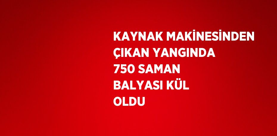 KAYNAK MAKİNESİNDEN ÇIKAN YANGINDA 750 SAMAN BALYASI KÜL OLDU