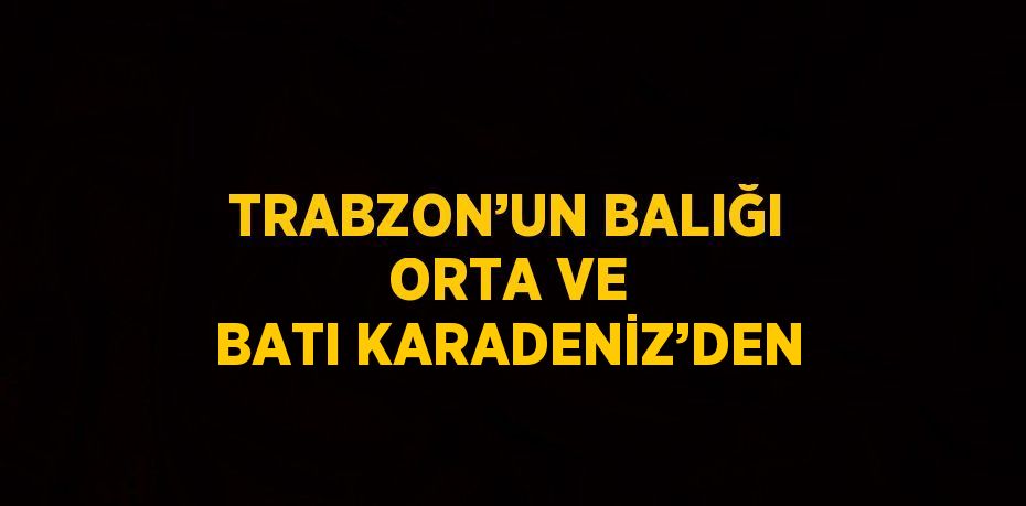 TRABZON’UN BALIĞI ORTA VE BATI KARADENİZ’DEN