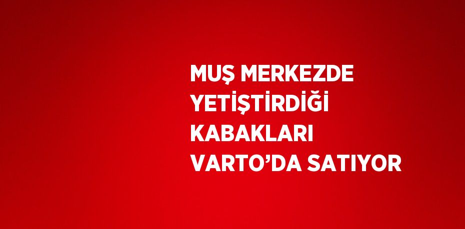 MUŞ MERKEZDE YETİŞTİRDİĞİ KABAKLARI VARTO’DA SATIYOR