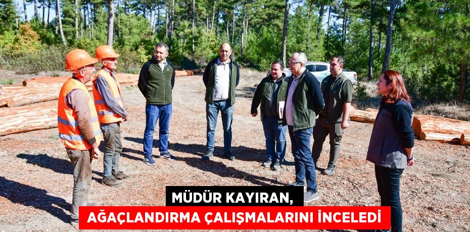 MÜDÜR KAYIRAN,   AĞAÇLANDIRMA ÇALIŞMALARINI İNCELEDİ