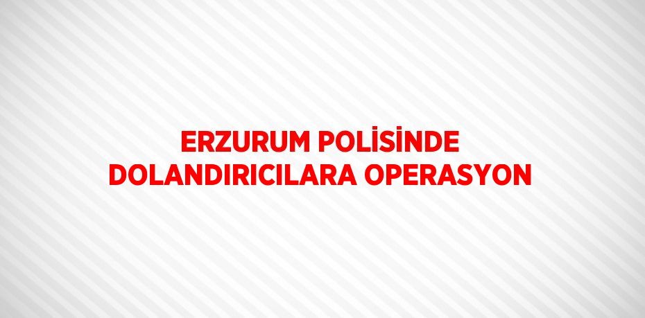 ERZURUM POLİSİNDE DOLANDIRICILARA OPERASYON