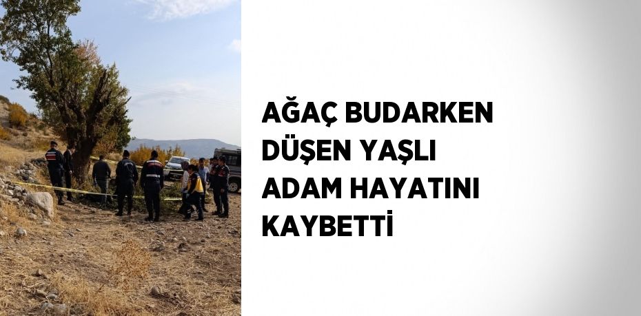 AĞAÇ BUDARKEN DÜŞEN YAŞLI ADAM HAYATINI KAYBETTİ