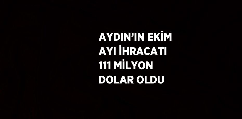 AYDIN’IN EKİM AYI İHRACATI 111 MİLYON DOLAR OLDU