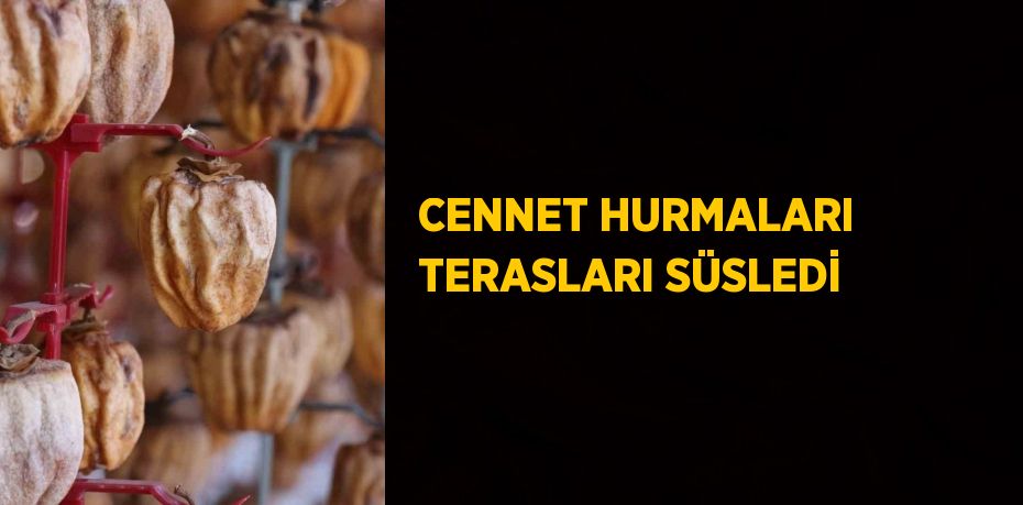 CENNET HURMALARI TERASLARI SÜSLEDİ