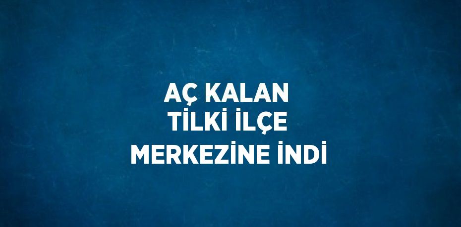 AÇ KALAN TİLKİ İLÇE MERKEZİNE İNDİ