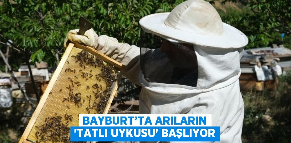 BAYBURT’TA ARILARIN 'TATLI UYKUSU' BAŞLIYOR