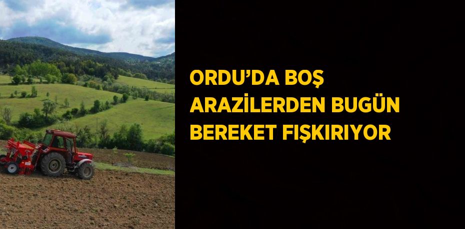 ORDU’DA BOŞ ARAZİLERDEN BUGÜN BEREKET FIŞKIRIYOR