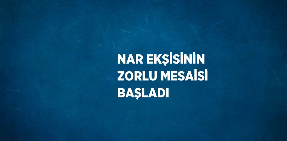 NAR EKŞİSİNİN ZORLU MESAİSİ BAŞLADI