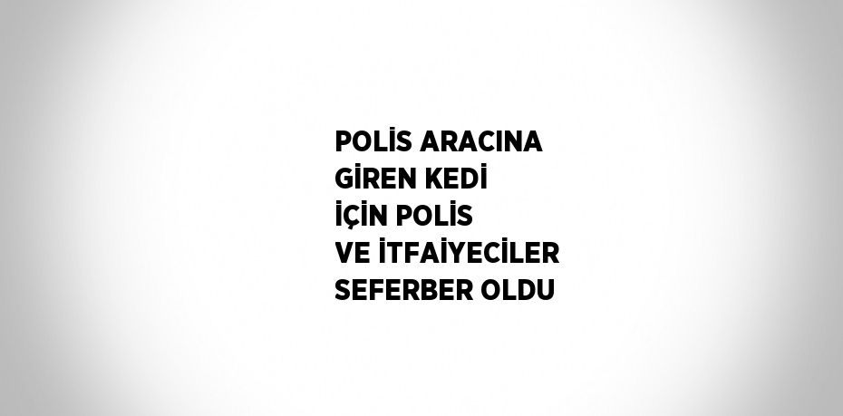 POLİS ARACINA GİREN KEDİ İÇİN POLİS VE İTFAİYECİLER SEFERBER OLDU