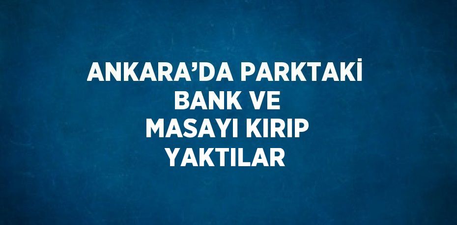 ANKARA’DA PARKTAKİ BANK VE MASAYI KIRIP YAKTILAR