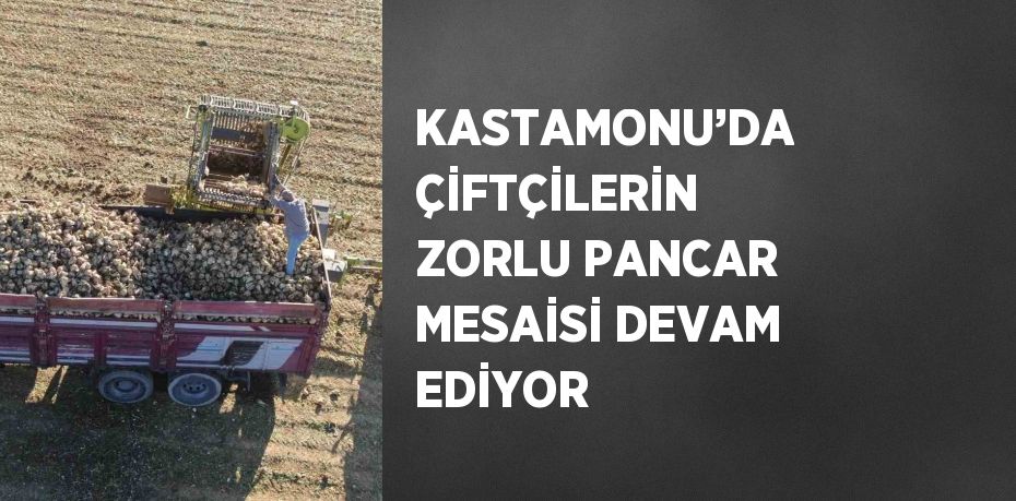 KASTAMONU’DA ÇİFTÇİLERİN ZORLU PANCAR MESAİSİ DEVAM EDİYOR