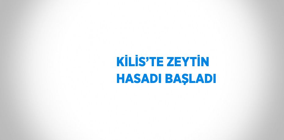 KİLİS’TE ZEYTİN HASADI BAŞLADI