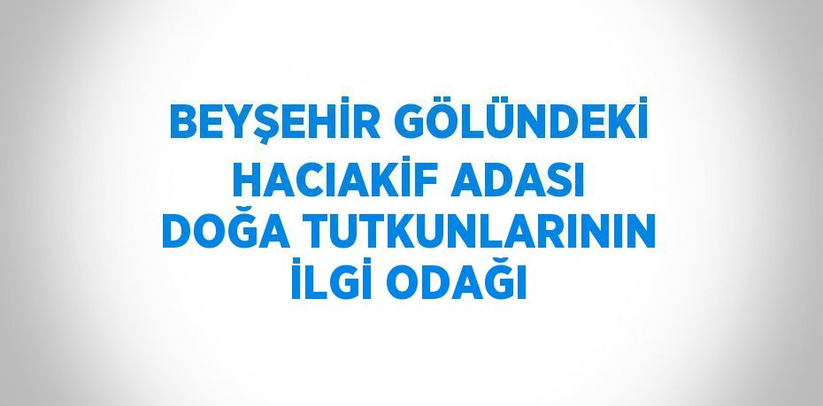 BEYŞEHİR GÖLÜNDEKİ HACIAKİF ADASI DOĞA TUTKUNLARININ İLGİ ODAĞI