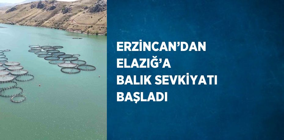 ERZİNCAN’DAN ELAZIĞ’A BALIK SEVKİYATI BAŞLADI