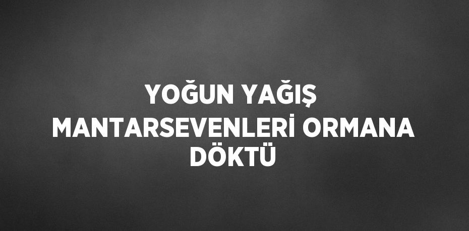 YOĞUN YAĞIŞ MANTARSEVENLERİ ORMANA DÖKTÜ