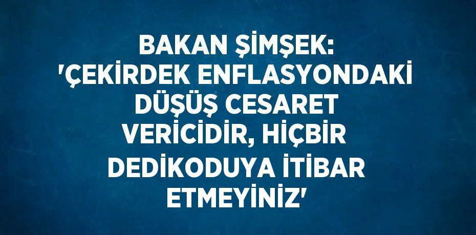 BAKAN ŞİMŞEK: 'ÇEKİRDEK ENFLASYONDAKİ DÜŞÜŞ CESARET VERİCİDİR, HİÇBİR DEDİKODUYA İTİBAR ETMEYİNİZ'