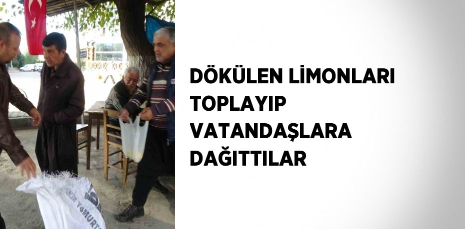 DÖKÜLEN LİMONLARI TOPLAYIP VATANDAŞLARA DAĞITTILAR