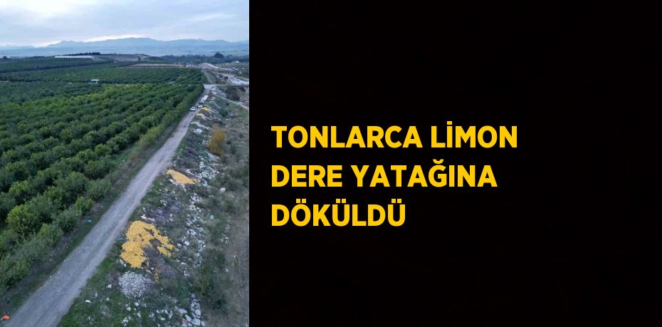 TONLARCA LİMON DERE YATAĞINA DÖKÜLDÜ