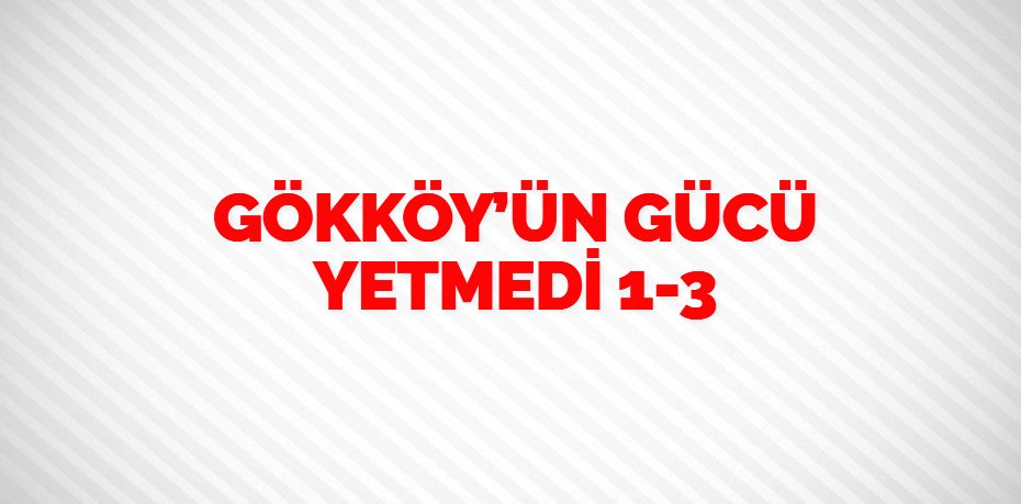 GÖKKÖY’ÜN GÜCÜ YETMEDİ   1-3