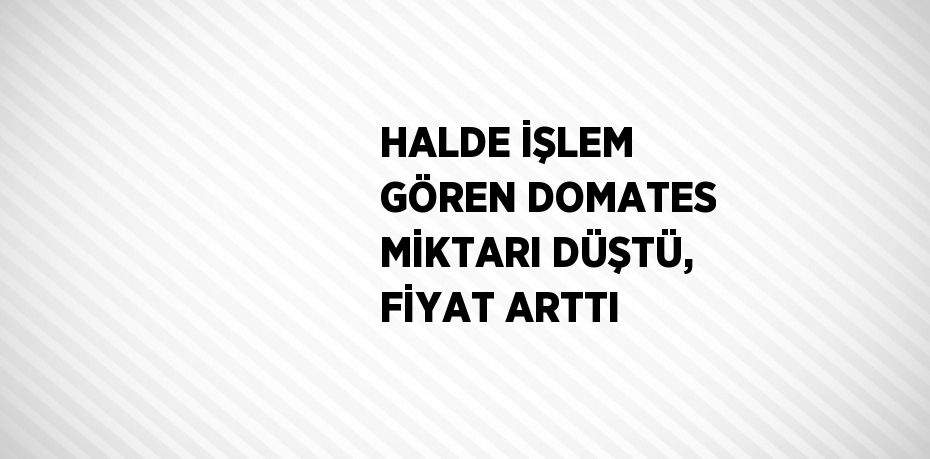 HALDE İŞLEM GÖREN DOMATES MİKTARI DÜŞTÜ, FİYAT ARTTI