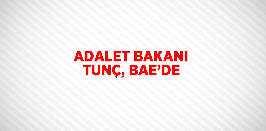 ADALET BAKANI TUNÇ, BAE’DE