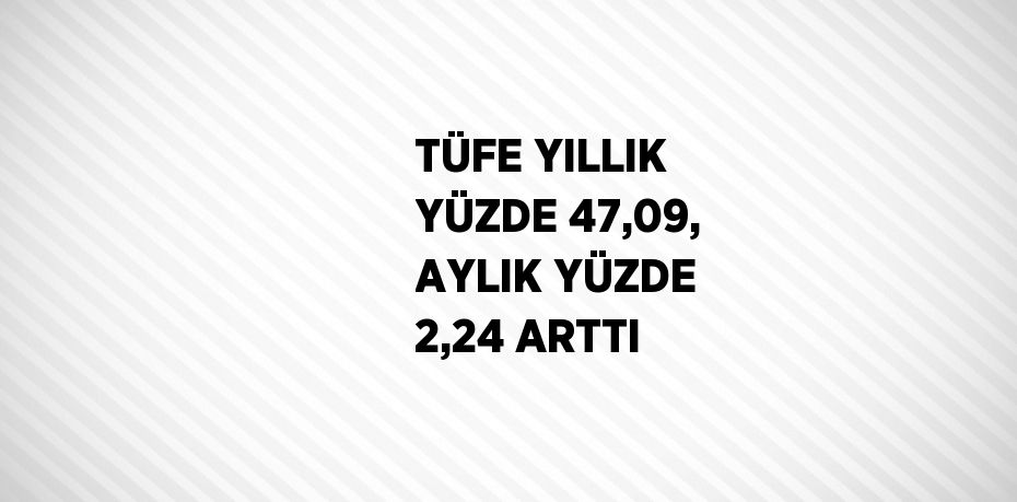 TÜFE YILLIK YÜZDE 47,09, AYLIK YÜZDE 2,24 ARTTI