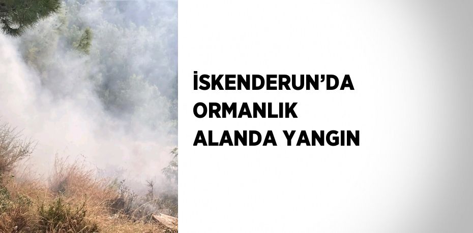 İSKENDERUN’DA ORMANLIK ALANDA YANGIN