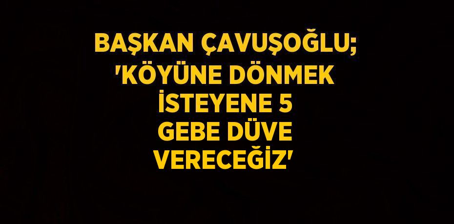 BAŞKAN ÇAVUŞOĞLU; 'KÖYÜNE DÖNMEK İSTEYENE 5 GEBE DÜVE VERECEĞİZ'