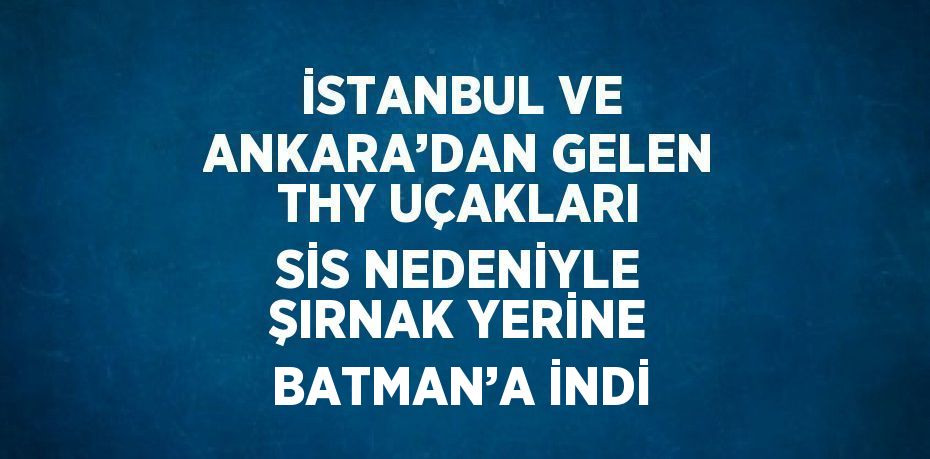 İSTANBUL VE ANKARA’DAN GELEN THY UÇAKLARI SİS NEDENİYLE ŞIRNAK YERİNE BATMAN’A İNDİ