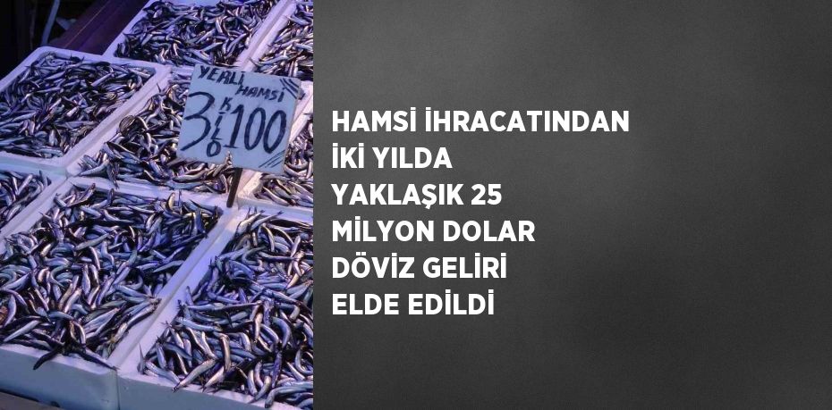 HAMSİ İHRACATINDAN İKİ YILDA YAKLAŞIK 25 MİLYON DOLAR DÖVİZ GELİRİ ELDE EDİLDİ