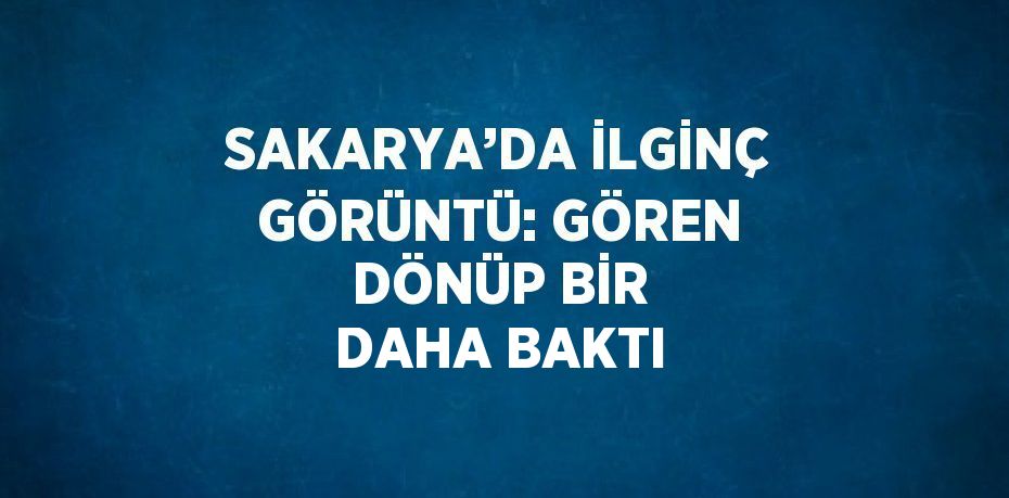SAKARYA’DA İLGİNÇ GÖRÜNTÜ: GÖREN DÖNÜP BİR DAHA BAKTI