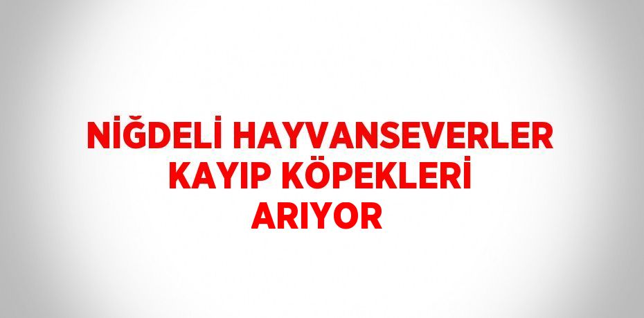 NİĞDELİ HAYVANSEVERLER KAYIP KÖPEKLERİ ARIYOR