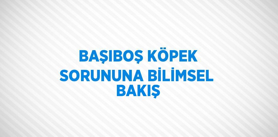 BAŞIBOŞ KÖPEK SORUNUNA BİLİMSEL BAKIŞ