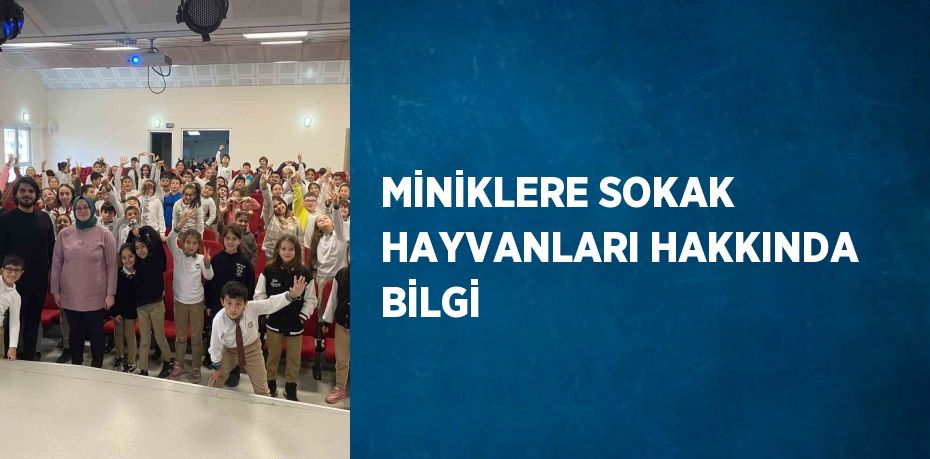 MİNİKLERE SOKAK HAYVANLARI HAKKINDA BİLGİ