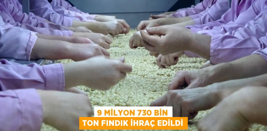 9 MİLYON 730 BİN TON FINDIK İHRAÇ EDİLDİ