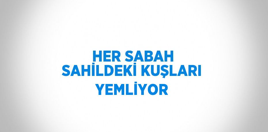 HER SABAH SAHİLDEKİ KUŞLARI YEMLİYOR