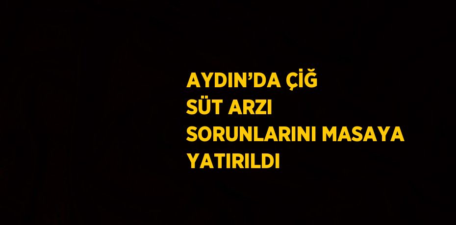 AYDIN’DA ÇİĞ SÜT ARZI SORUNLARINI MASAYA YATIRILDI