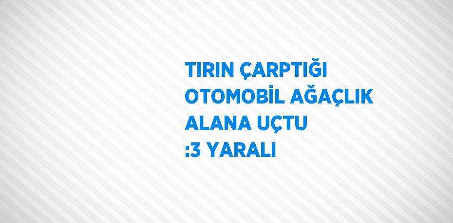 TIRIN ÇARPTIĞI OTOMOBİL AĞAÇLIK ALANA UÇTU :3 YARALI