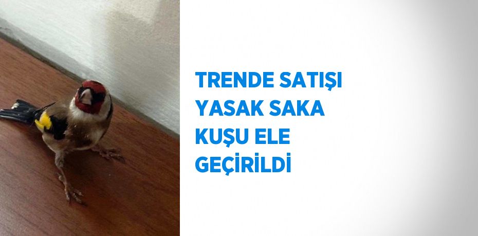 TRENDE SATIŞI YASAK SAKA KUŞU ELE GEÇİRİLDİ