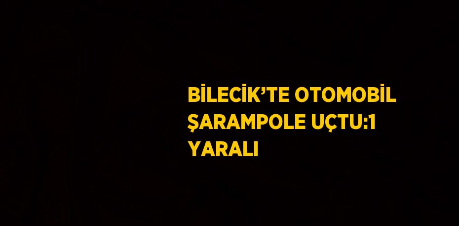 BİLECİK’TE OTOMOBİL ŞARAMPOLE UÇTU:1 YARALI