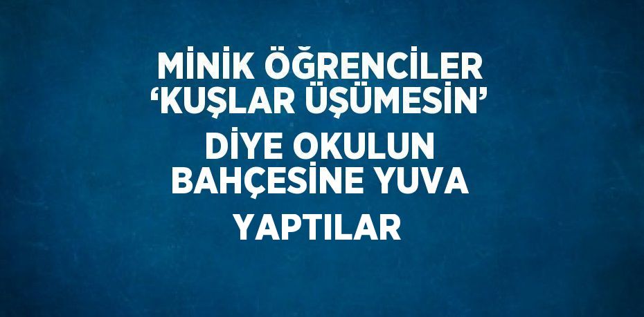 MİNİK ÖĞRENCİLER ‘KUŞLAR ÜŞÜMESİN’ DİYE OKULUN BAHÇESİNE YUVA YAPTILAR